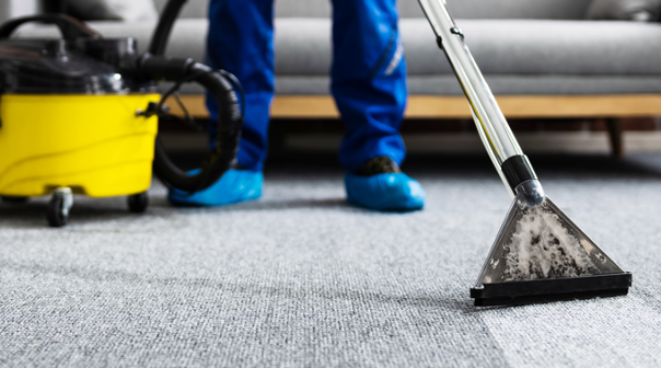 Westmont, Illinois Carpet and Rug Cleaning Service and Company